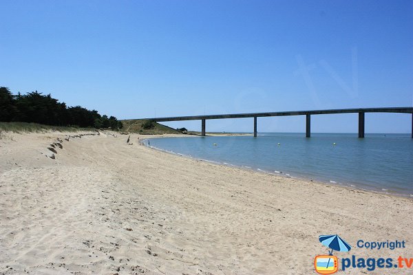 Plage sauvage à proximite de la Flomentine