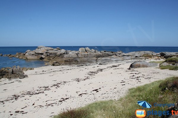 Environnement sauvage en bord de mer de Plouescat