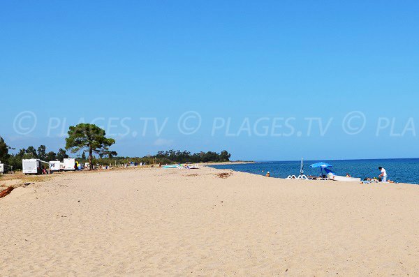 Plage de Funtanaccia à proximité du camping - Corse