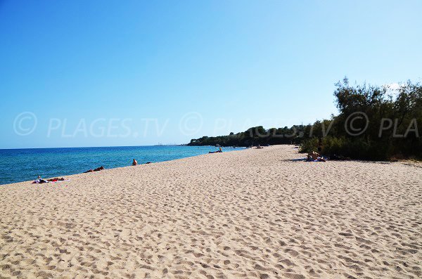 Photo de la plage de Funtanaccia en allant vers le sud