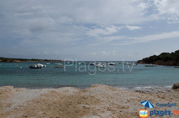 Mooring area in the cala of Furnellu - Corsica