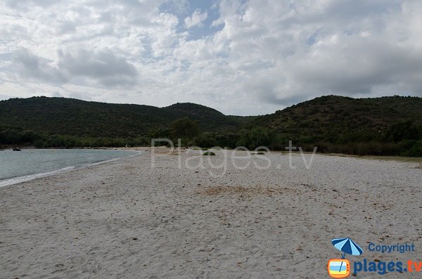 Large beach in the cala of Furnellu - Corsica