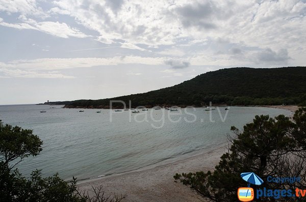 Tour d'Olmeto vue depuis la cala de Furnellu