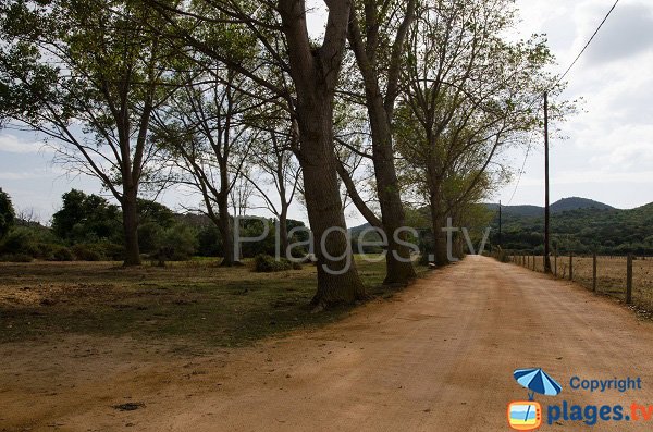 Piste pour se rendre sur la plage de Furnellu