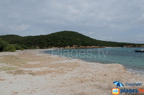 Photo de la plage de Furnellu en Corse