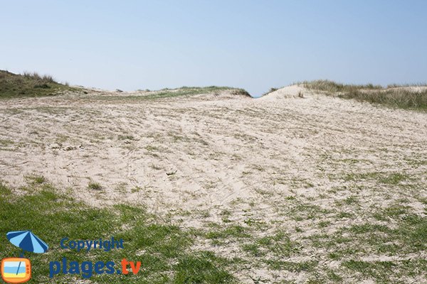 Dunes de Glatigny au niveau de la plage des Galets des Mielles - Manche