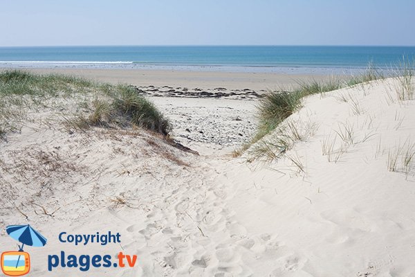 Plage sauvage avec des dunes à Glatigny - Manche