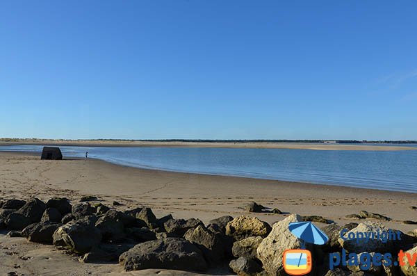 Photo of Galon d'Or beach in La Temblade - Ronce les Bains