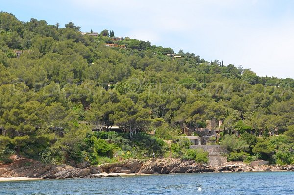 Wild beach on the coastal path of Bormes les Mimosas