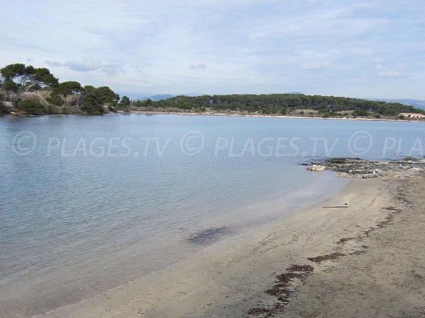 Plage publique sur l'ile du Gaou dans le Var