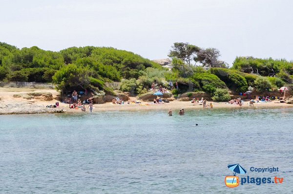 Foto della spiaggia del Gaou a Six Fours les Plages - Francia