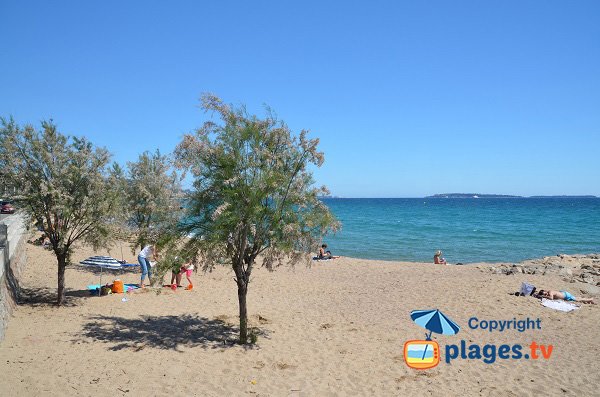 Plage de sable à proximité de Cannes