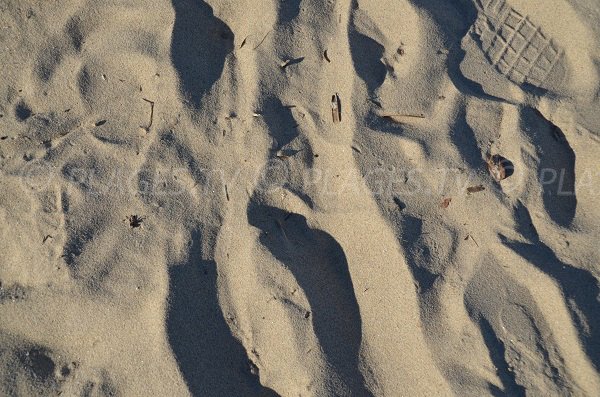 Sand of Vieux Salins beach in Hyeres