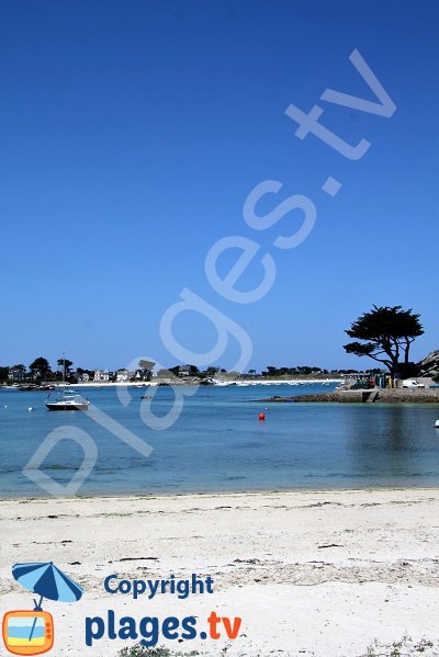 Photo de la plage du centre ville de Brignogan-Plage