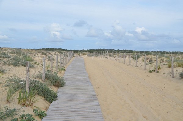 Access to the Garonne beach in Cap Ferret