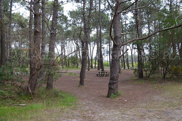 Aire de Pique-Nique sur le parking de la plage de la Garonne à Lège