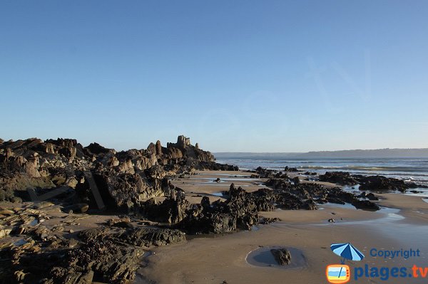 Plage avec des rochers à Locquirec