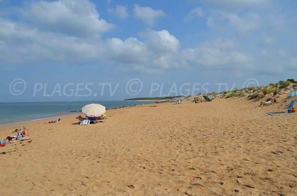 Spiaggia a Oléron a St Georges - mare del Pertuis