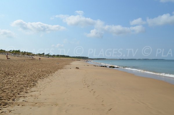 Environment of Gautrelle Beach 