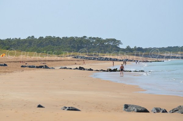 Digues de la plage de Gautrelle