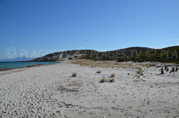  spiaggia Selvaggi in deserto Agriates in Corsica