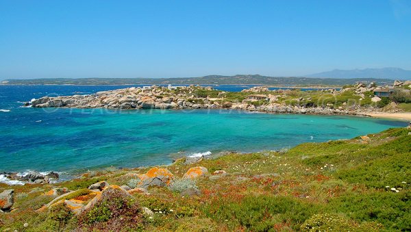 Plage de Ghiuncu de l'ile de Cavallo avec vue sur le golfe de Sperone de Bonifacio