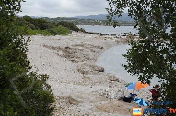 Plage de Giardinelli à Figari - Ventilegne