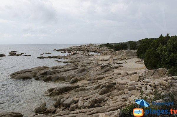 Littoral entre les parkings 2 et 3 de la pointe de Ventilegne - Figari