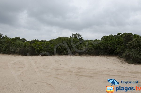 Parking des plages de Ventilegne - Figari - P2