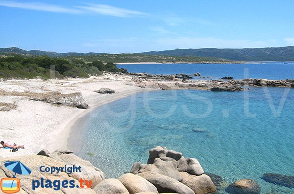 Plage en été à proximité de la pointe de Ventilegne - Figari