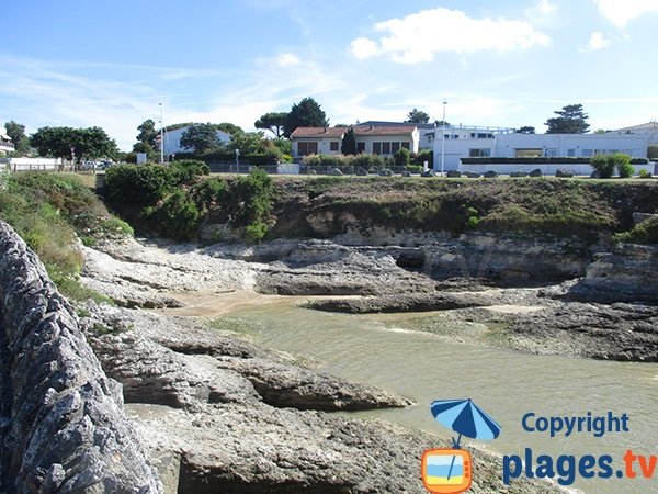 environment  of Gilet cove - Vaux sur Mer