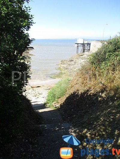 Access to the Gilet Conche in Vaux sur Mer