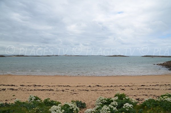 Ilots dans la baie de Goas Treiz - Trébeurden (22)