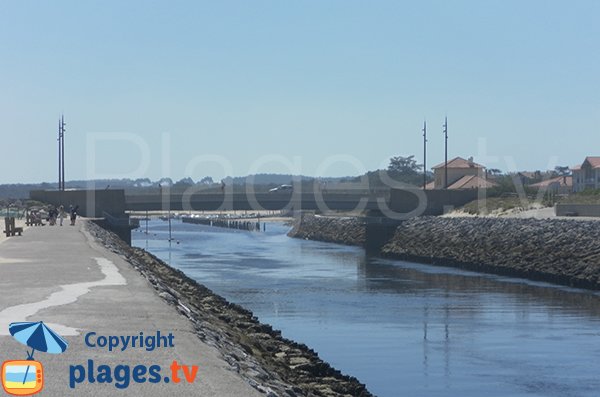 Berges du courant de Mimizan