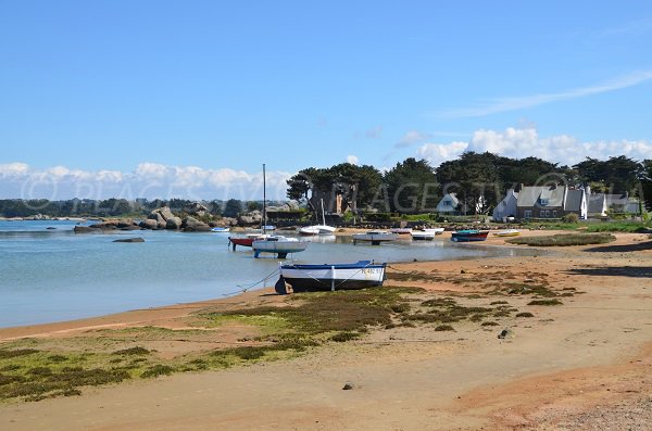 Photo of Goélands beach in Trégastel - Brittany