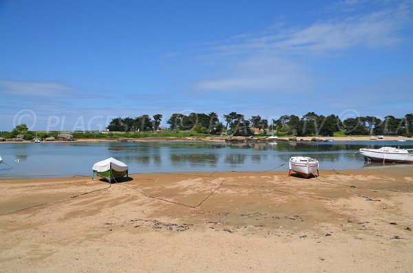 Plage face à l'île Renote à Trégastel