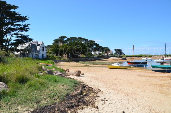 Beach at the beginning of Renote island - Goélands