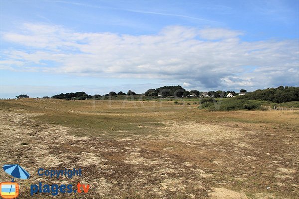 Espace dunaire de la plage de Goh Velin - St Gildas de Rhuys