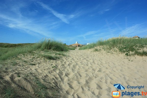 Dunes et golf de Saint Jean de Monts