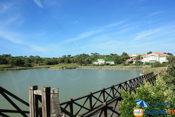 Pond and Golf Saint Jean de Monts near the beach