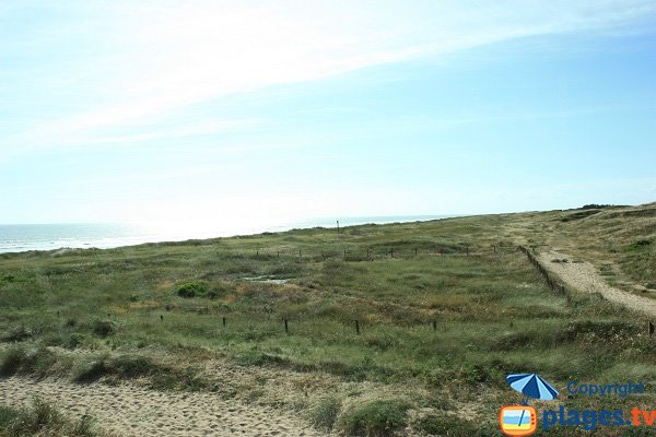 Dunes de la plage du Golf et sentiers