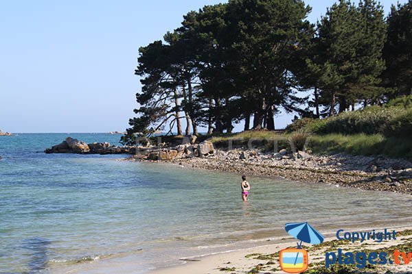 Baignade sur la plage de Gouermel en Bretagne