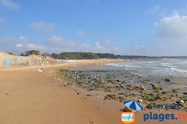 Goulet beach in St Vincent sur Jard and view on Longeville sur Mer