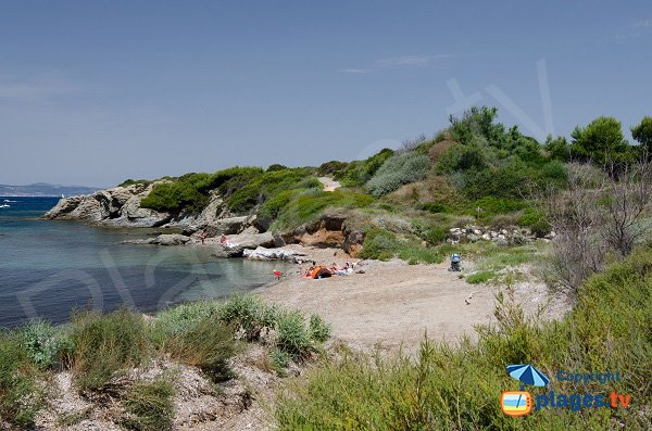 Gabrielle beach in Ile des Embiez