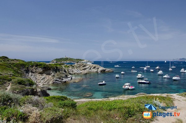 Vue sur l'ile du Grand Rouveau depuis la plage de la Gabrielle - Les Embiez