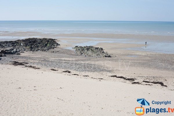 Rochers sur la plage de St Pair sur Mer