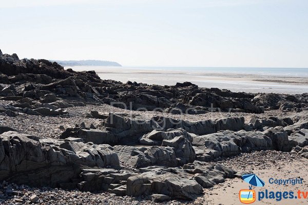 Pêche à pied sur la plage de St Pair sur Mer