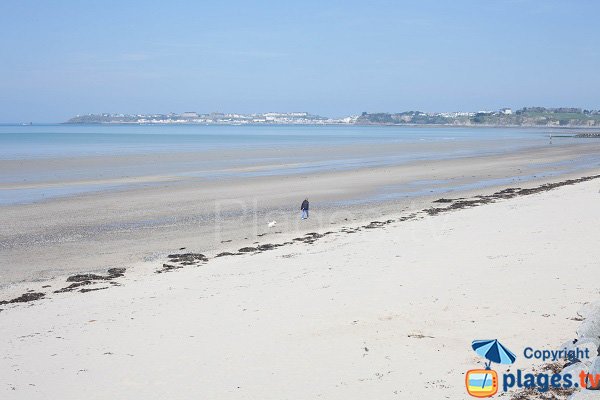 Photo de la plage de Grace de Dieu à St Pair sur Mer