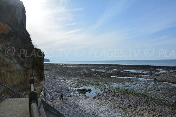 Valleuse de Grainval en direction d'Yport - Seine-Maritime