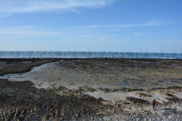 Photo de la plage de Grainval à St Léonard (76)